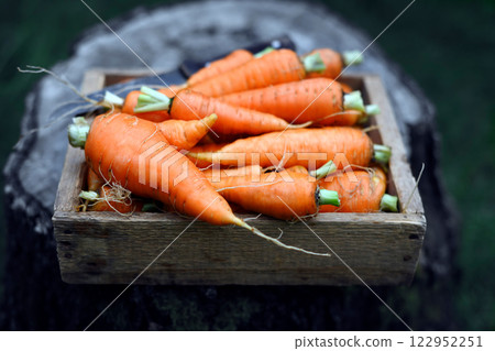 Close-up of fresh carrots in a wooden box Close-up of fresh carrots in a wooden box 122952251