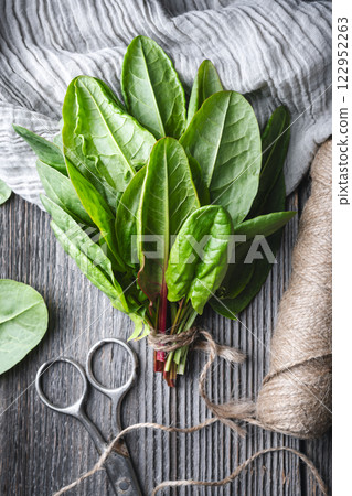 Fresh organic sorrel leaves with old scissors 122952263