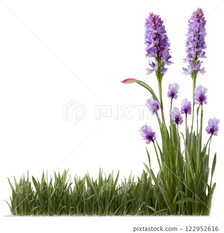 Elegant white flowers with green leaves arranged against a plain background for artistic display 122952616