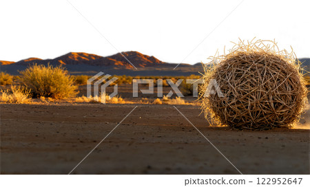 Tumbleweeds rolling along a deserted road in a vast desert landscape at sunset 122952647