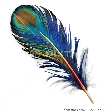 Vibrant peacock feather displaying brilliant colors against a neutral background in natural light 122952742