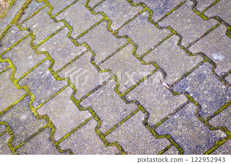 Shot of the old interlock bricks with grass between them 122952943