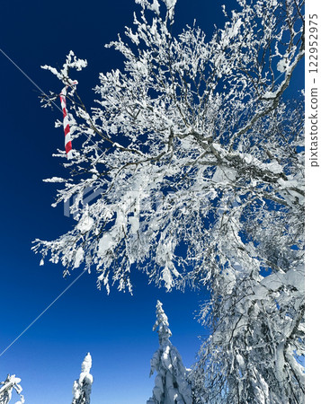 Winter landscape - frosty trees, fir trees in the winter forest in cold weather. Calm nature of winter forest under snowfall. Winter landscape - frosty trees, fir trees in the winter forest in cold weather. Calm nature of winter forest under snowfall. 122952975