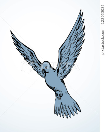 Vector drawing. Dove in the sky 122953025
