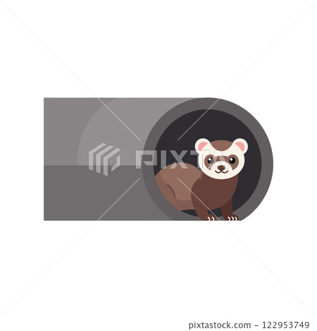 Ferret peeking out of a gray tunnel in flat vector art 122953749