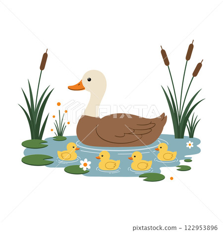 Mother duck swimming with her ducklings in flat vector art Mother duck swimming with her ducklings in flat vector art 122953896