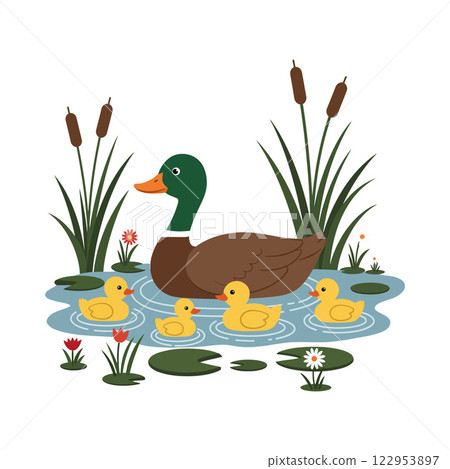 Duck family swimming in pond with green plants in flat vector art Duck family swimming in pond with green plants in flat vector art 122953897