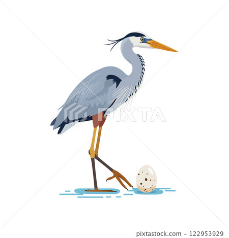 Heron standing beside a spotted egg in a minimalist flat design vector illustration Heron standing beside a spotted egg in a minimalist flat design vector illustration 122953929
