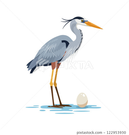 Heron standing gracefully beside its egg in flat, colorful design vector art Heron standing gracefully beside its egg in flat, colorful design vector art 122953930