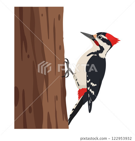 Woodpecker climbing a tree trunk in flat design style vector art 122953932