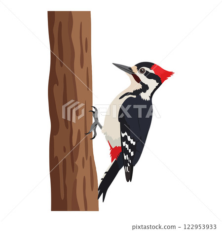 Woodpecker climbing a tree trunk in flat design style vector art 122953933