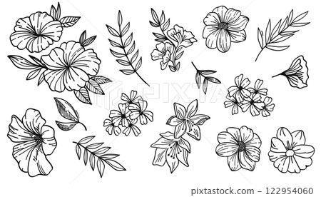 flowers, foliage, leaves 122954060