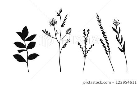 Botanical Floral Silhouette Collection Hand-Drawing Vector Illustration	 122954611
