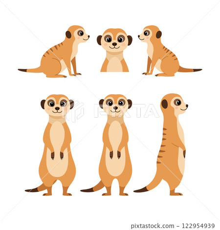 Charming meerkat characters in playful poses illustrated in flat vector art style for creative projects Charming meerkat characters in playful poses illustrated in flat vector art style for creative projects 122954939
