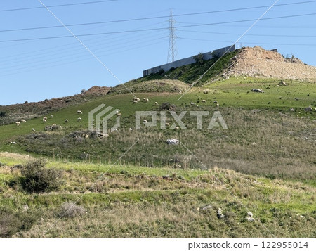 Herd of goats and sheep in farmyard setting. Mediterranean dairy farm, breeding of farm animals. 122955014