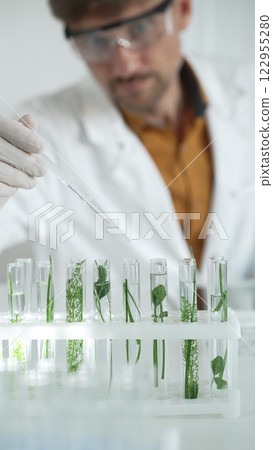 Man scientist wearing a lab coat, white gloves and protective glasses, is dripping liquid from a pipette into a test tube with a green plant inside, vertical close up view. Science and medicine 122955280
