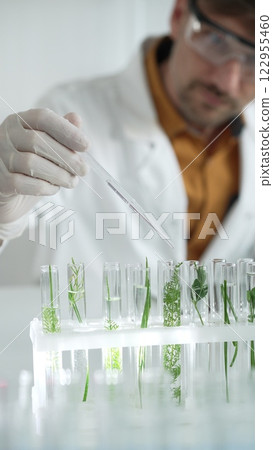 Man scientist wearing a lab coat, white gloves and protective glasses, is dripping liquid from a pipette into a test tube with a green plant inside, vertical close up view. Science and medicine Man scientist wearing a lab coat, white gloves and protective glasses, is dripping liquid from a pipette into a test tube with a green plant inside, vertical close up view. Science and medicine 122955460