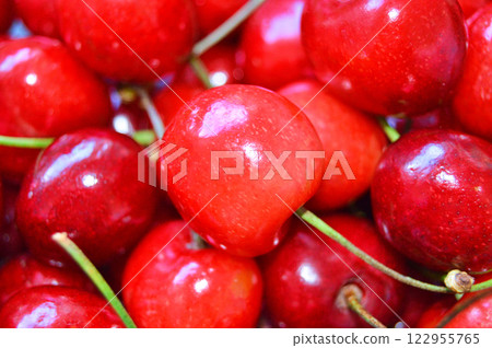 Close up of pile of ripe cherries with stalks and leaves 122955765