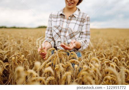 A woman agronomist studies the golden harvest of wheat on an agricultural field. Agriculture. 122955772