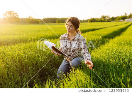 Ears of green wheat in the hands of a farmer. New harvest concept. 122955923