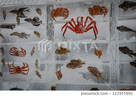 Hokkaido, Main Street, Snow Festival Scenery 122955992