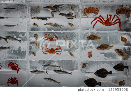 Hokkaido, Main Street, Snow Festival Scenery 122955998