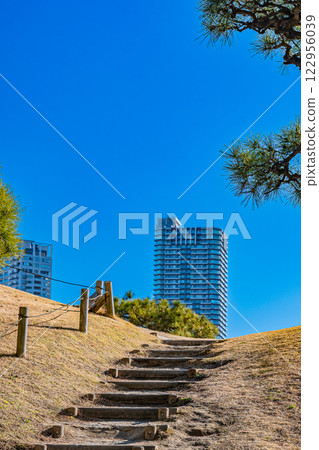 Tokyo: Hama-rikyu Gardens 122956039