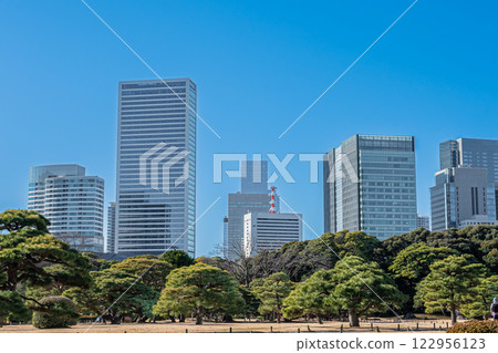 Tokyo: Hama-rikyu Gardens 122956123