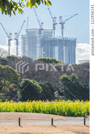 東京：濱離宮恩賜庭園 122956141