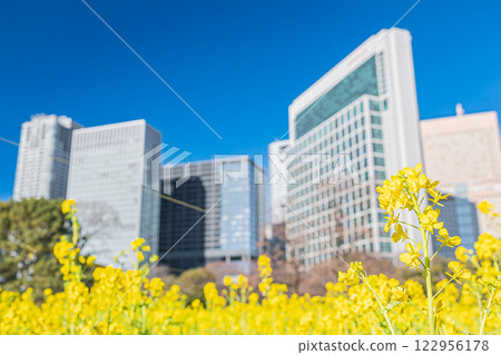 Tokyo Hamarikyu Imperial Garden 122956178