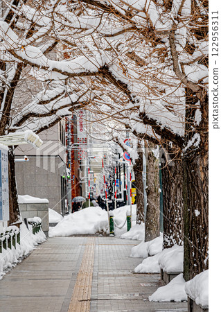 Hokkaido, Main Street, Snow Festival Scenery Hokkaido, Main Street, Snow Festival Scenery 122956311