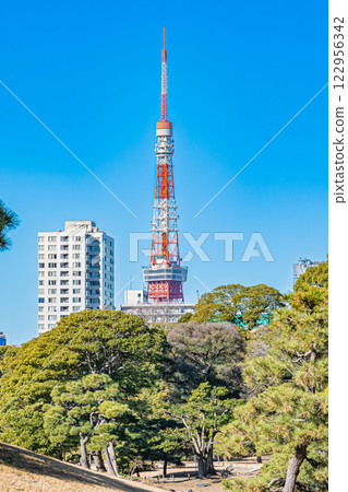 Tokyo: Hama-rikyu Gardens 122956342