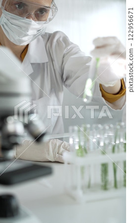 Woman scientist wearing lab coat, white gloves, face mask and protective glasses, is holding a test tube with plants inside near microscope in laboratory, vertical portrait view. Science and medicine 122956671