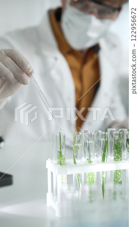 Man scientist wearing a lab coat, white protective gloves and face mask is dripping liquid into test tubes containing herbs for analysis in a laboratory, close up. Science and medicine concepts Man scientist wearing a lab coat, white protective gloves and face mask is dripping liquid into test tubes containing herbs for analysis in a laboratory, close up. Science and medicine concepts 122956672