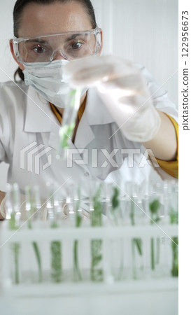 Woman scientist wearing a lab coat, white gloves, face mask and protective glasses, is holding a test tube with plants inside, vertical portrait view. Science and medicine 122956673