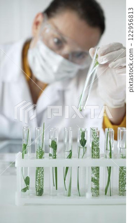 Woman scientist researcher with white gloves, face mask and protective glasses, is holding a test tube with plants inside in laboratory setting, vertical view. Science and medicine concept 122956813