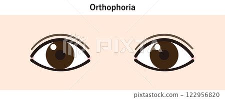 Simple eye illustration (Orthophoria) Simple eye illustration (Orthophoria) 122956820