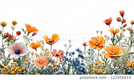 Natural botanical background with vibrant wildflowers 122956914