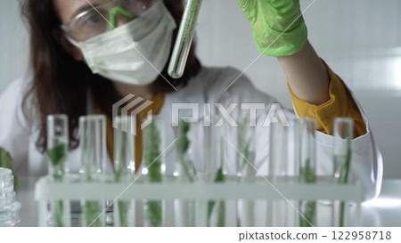 Woman scientist with dark hair wearing a lab coat, green gloves and mask holding a test tube with plants inside, close up. Science and medicine concepts 122958718