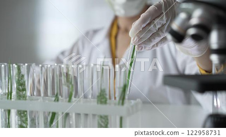 Unknown scientist wearing a lab coat, white gloves and protective face mask, is holding a test tube with plants inside, close up. Science and medicine concepts Unknown scientist wearing a lab coat, white gloves and protective face mask, is holding a test tube with plants inside, close up. Science and medicine concepts 122958731