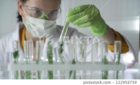 Woman scientist wearing a lab coat, green gloves and mask holding a test tube with plants inside, close up. Science and medicine concepts 122958739