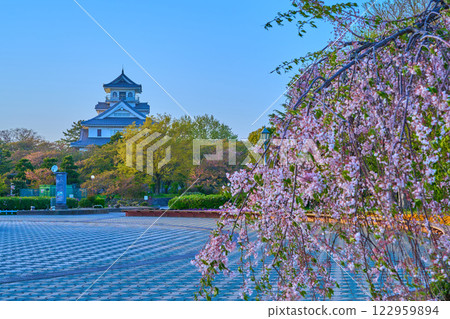春天從滋賀縣長濱市東洋公園看到的複製天守閣(長濱城歷史館) 春天從滋賀縣長濱市東洋公園看到的複製天守閣(長濱城歷史館) 122959894