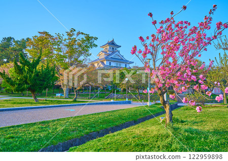View of the replica castle tower (Nagahama Castle History Museum) from Toyo Park in Nagahama City, Shiga Prefecture in spring View of the replica castle tower (Nagahama Castle History Museum) from Toyo Park in Nagahama City, Shiga Prefecture in spring 122959898