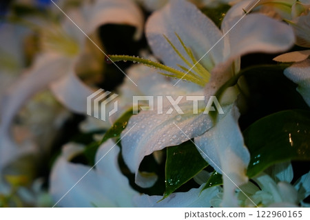 Fashionable flower altar with Casablanca 122960165