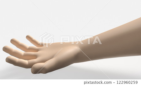 The Hand on white Background 3d Rendering. The Hand on white Background 3d Rendering. 122960259