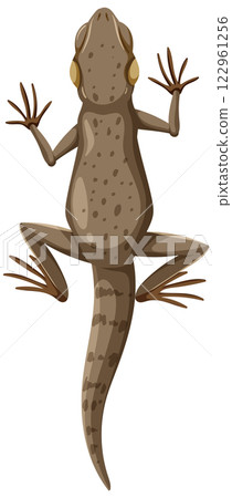 Top View of a Lizard Illustration 122961256