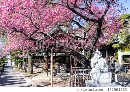 Shinagawa Ebara Shrine Shinagawa Ebara Shrine 122961283