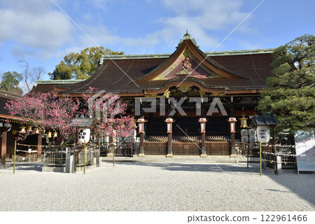 Kitano Tenmangu Shrine: The worship hall, red plum blossoms and pine trees (Kamigyo Ward, Kyoto City) 122961466
