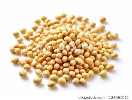 大豆圖像素材 122961611