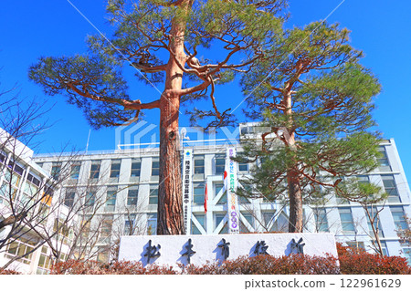 Scenery of Matsumoto City Hall, Matsumoto City, Nagano Prefecture Scenery of Matsumoto City Hall, Matsumoto City, Nagano Prefecture 122961629